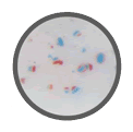 Juniper Innovations microparticles_close