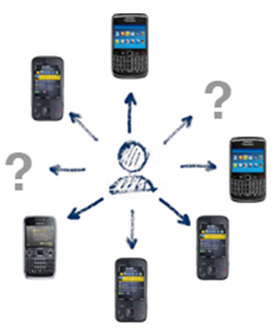 Juniper software device management